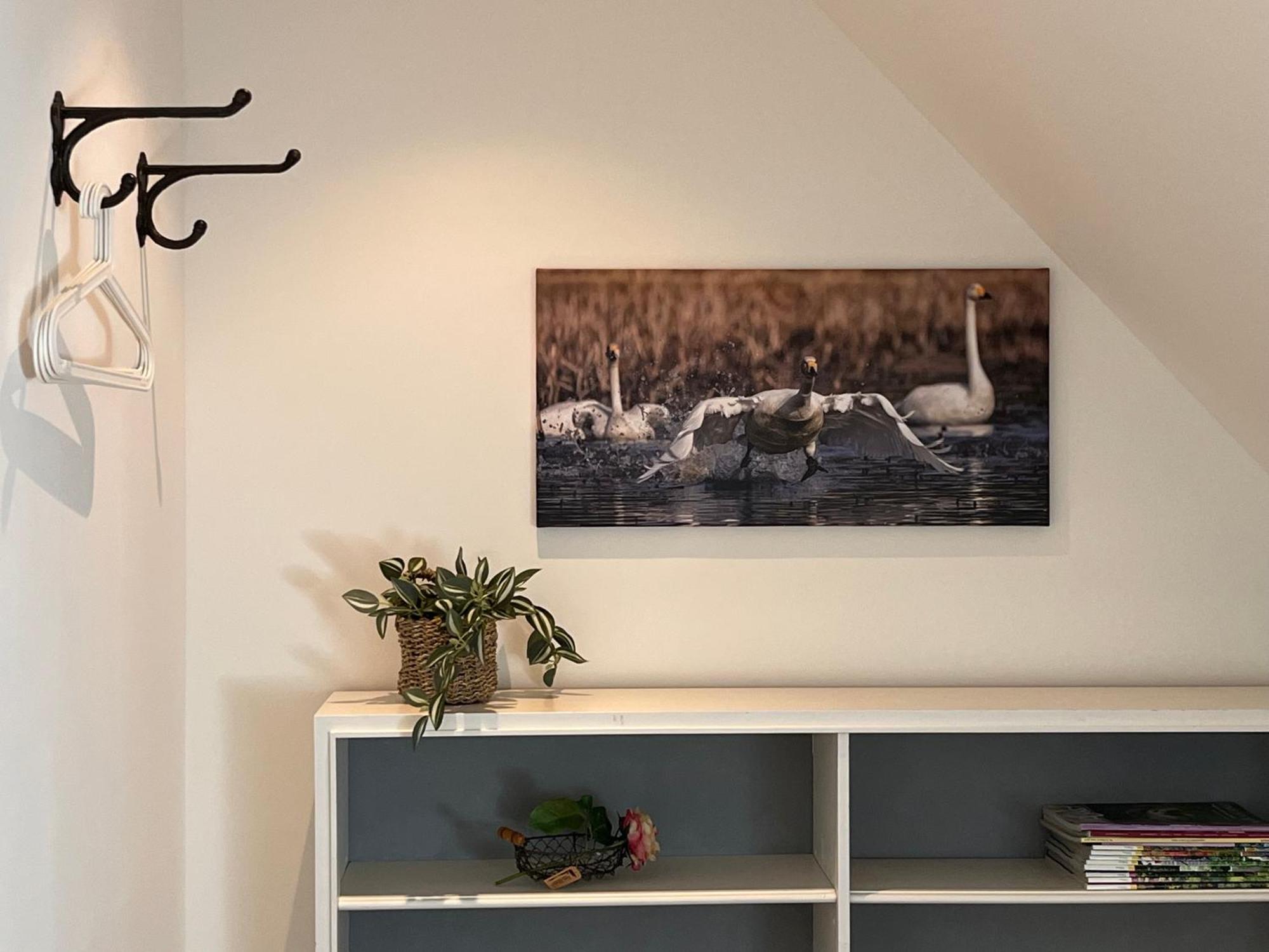 Neu Darchau Elb Nest Gaestehaus מראה חיצוני תמונה