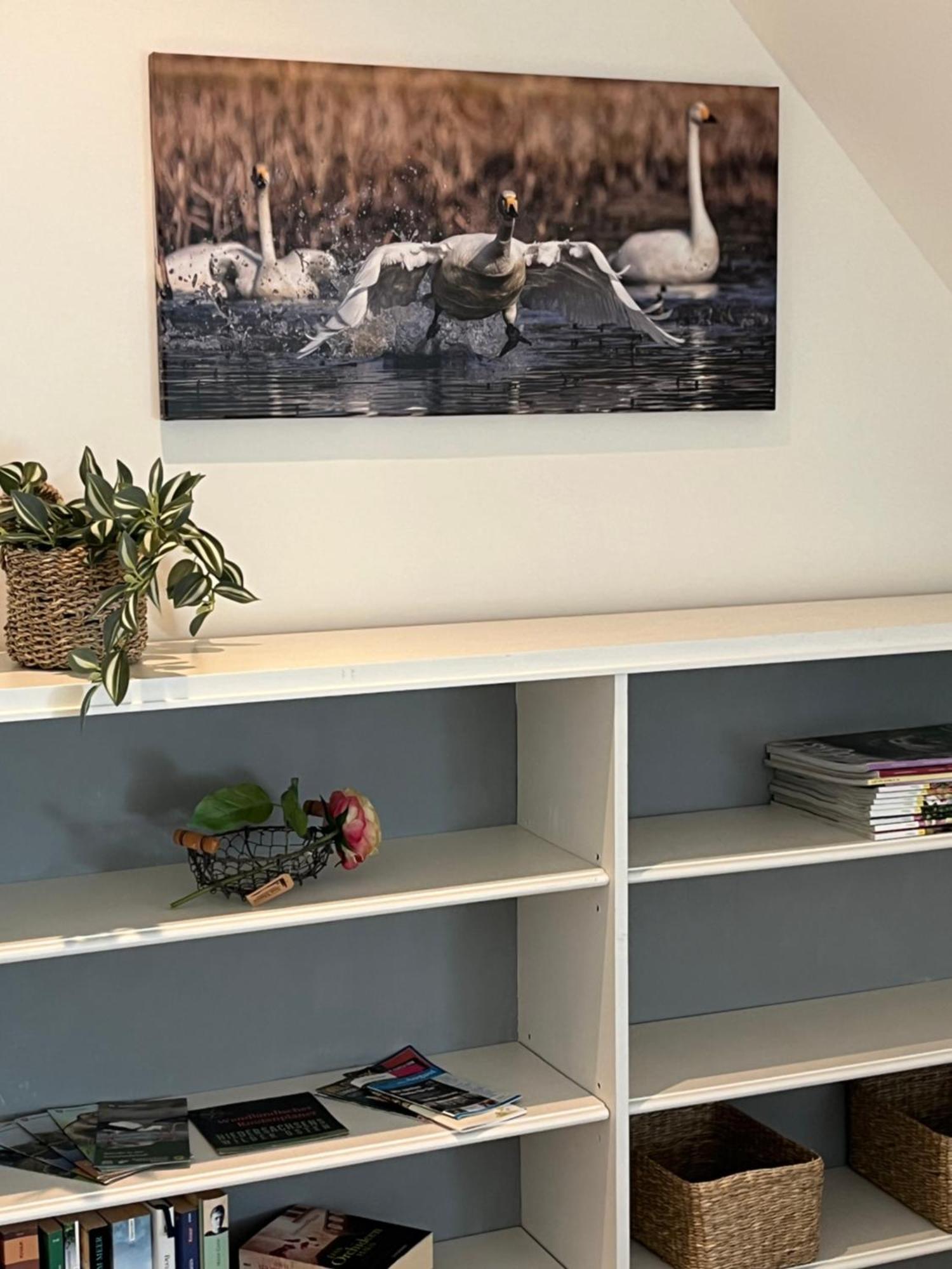 Neu Darchau Elb Nest Gaestehaus מראה חיצוני תמונה
